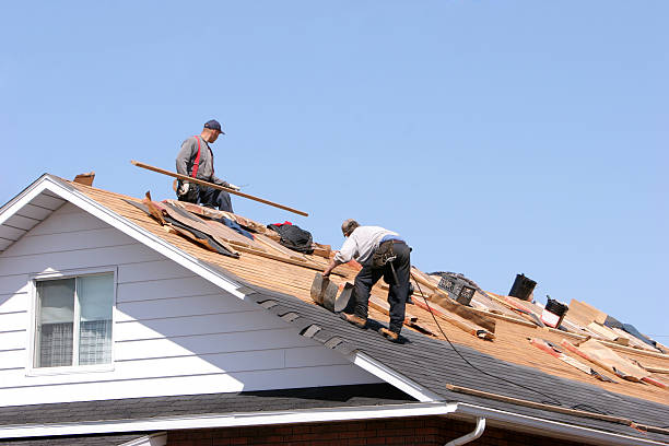 Professional Roofing and repair in Van Wert, OH